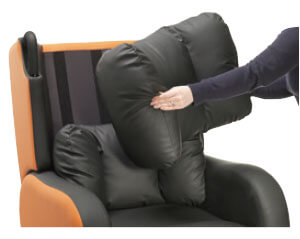 Interchangeable Back Cushions