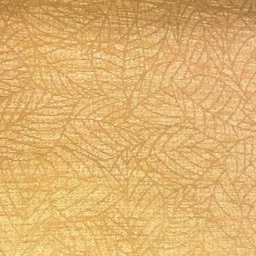 Oyster Sr12087