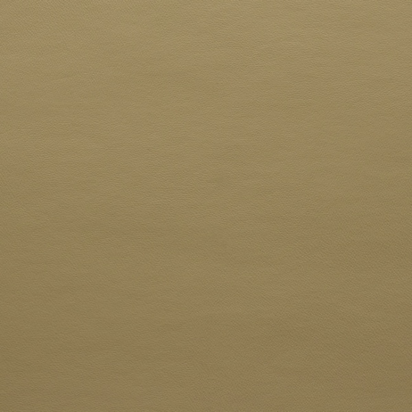 97f526b1acb5355621965c49e32e8596
