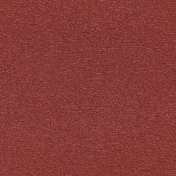 554-1329-Rhubarb