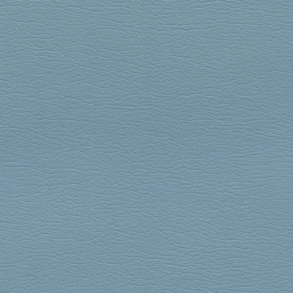 554-2661-Blue-Bird