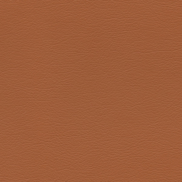 554-3835-Raw-Sienna