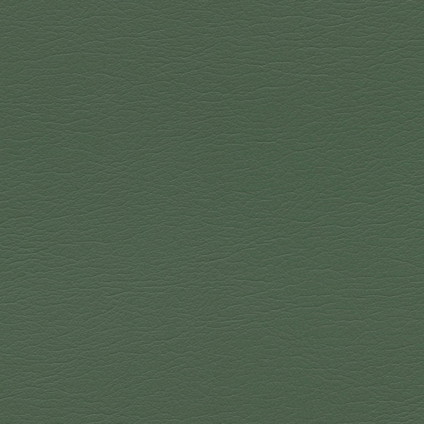 554-4333-Arugula