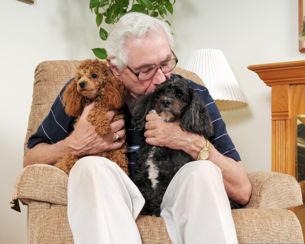 An,elderly,man,holding,his,two,poodles,,while,kissing,one