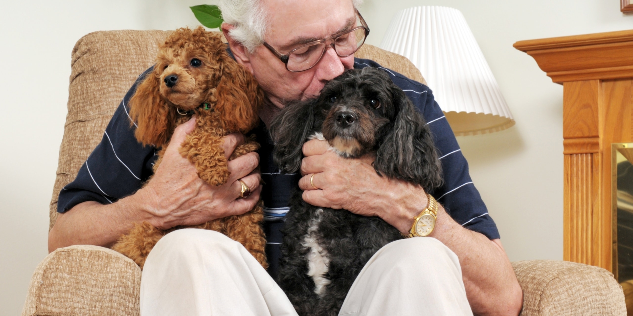An,elderly,man,holding,his,two,poodles,,while,kissing,one